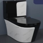 Two-Tone Blue & White Western Toilet With A Marble-Style