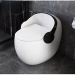 Luxury Designer Toilet – Black & White Edition