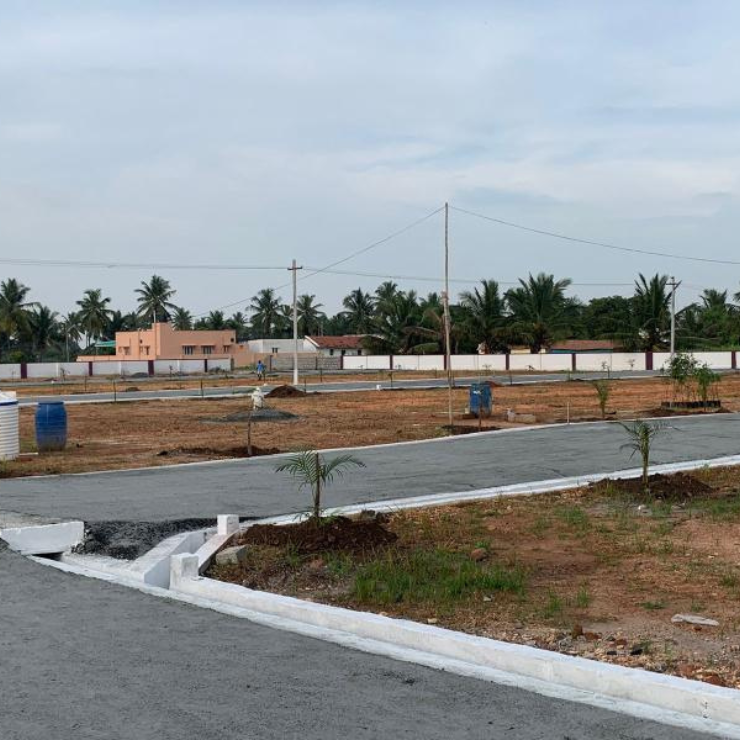 plot 1